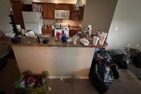Hoarding Cleanouts